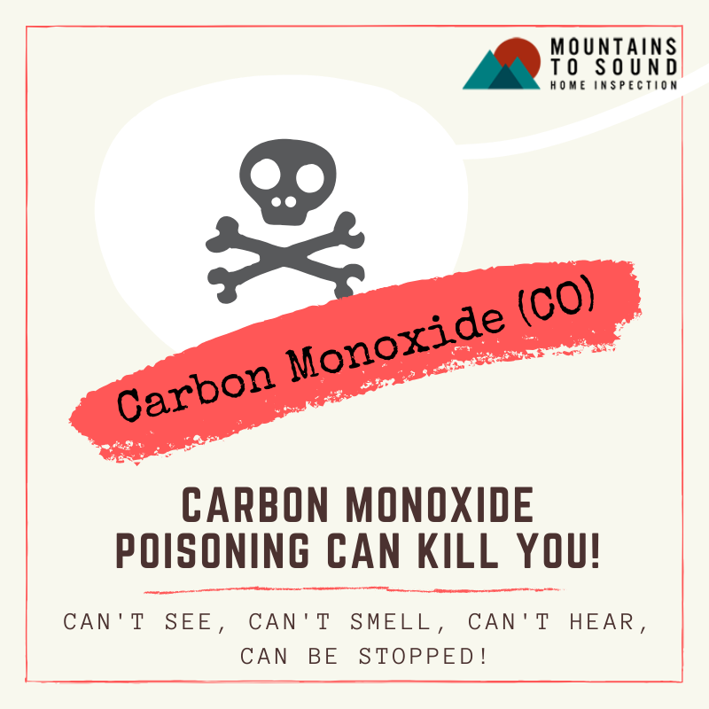 carbon monoxide check