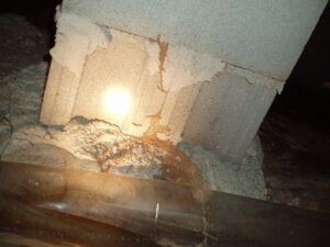 Termite Inspection Seattle WA