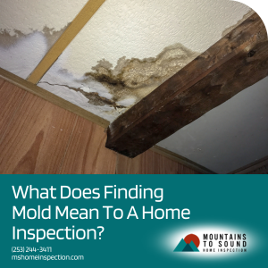 What Does Finding Mold Mean To The Home Inspection?